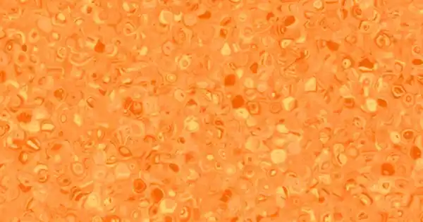 Gyors kiszállítás Grabo Ipari Homogén PVC padló Fortis Orange