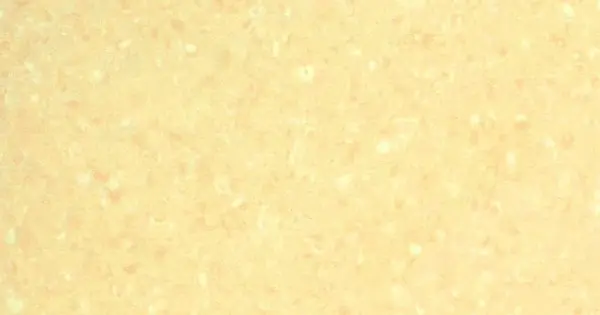Grabo Ipari Homogén PVC padló Polis Blonde Gyors szállítás