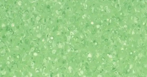 Grabo Ipari Homogén PVC padló Polis Emerald Biztonságos fizetés