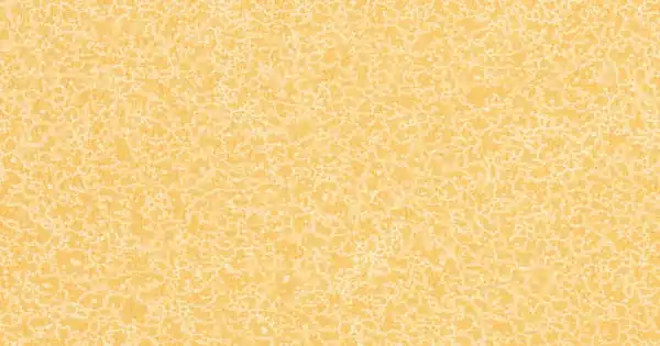 Fatra Ipari PVC padló Novoflor Extra Sparkle 2440-2 Kihagyhatatlan ajánlat