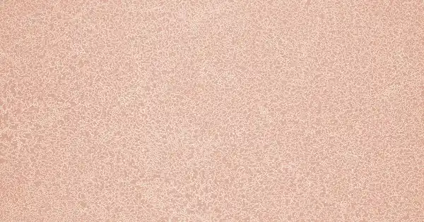 Fatra Ipari PVC padló Novoflor Extra Sparkle 2440-4 Azonnal elérhető