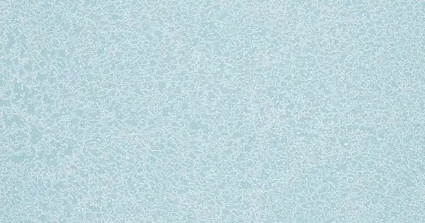 Fatra Ipari PVC padló Novoflor Extra Sparkle 2440-55 Outlet