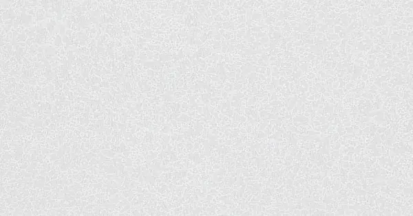 Fatra Ipari PVC padló Novoflor Extra Sparkle 2440-56 Exkluzív ajánlat