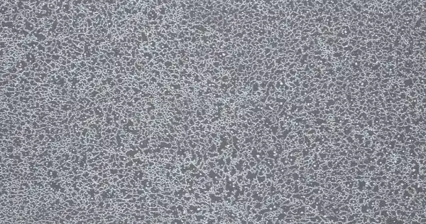 Fatra Ipari PVC padló Novoflor Extra Sparkle 2440-58 Árcsökkenés