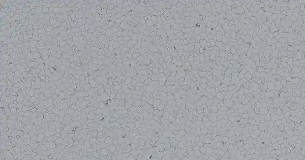 Fatra Vezetőképes homogén PVC padló modul Elektrostatik 1,7mm 2102 Bestseller