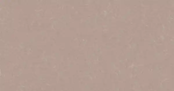 Rendeld meg most Grabo Ipari PVC padló Silver Knight 455-856