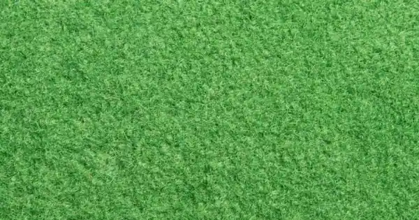 Orotex filchatású beltéri műfű Prairie 200cm Árengedmény