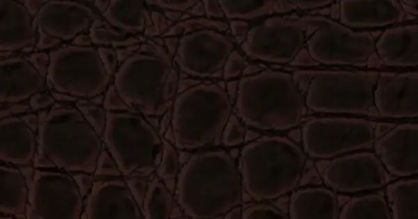 Pattintós bőr padló TYP-107 Csak ma