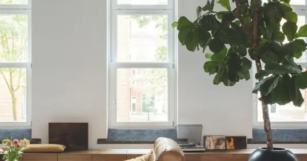 Quick Step laminált padló Capture SIG4761 Gyors kiszállítás