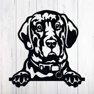 Egyedi fali dekoráció - Labrador kép Árcsökkenés