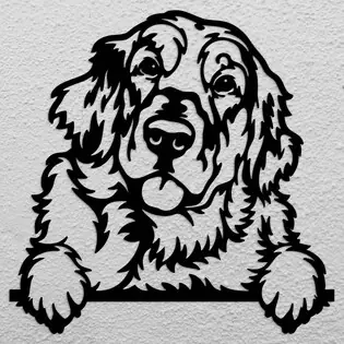 Fa matrica - Golden Retriever Utolsó esély