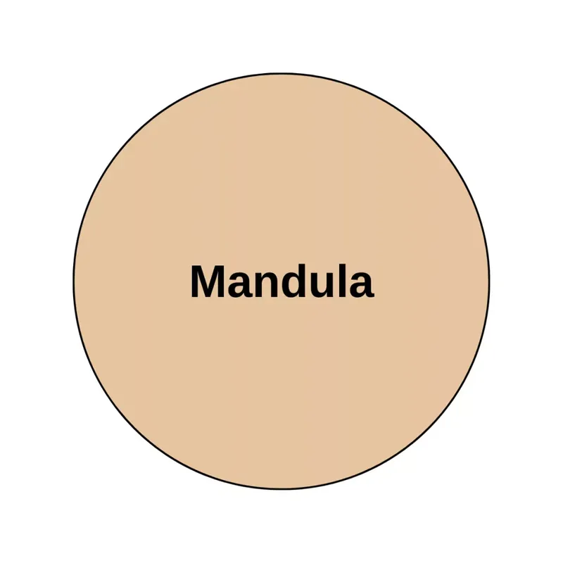 Mapei AC szilikon 138 mandula (4813891IT) Újdonság