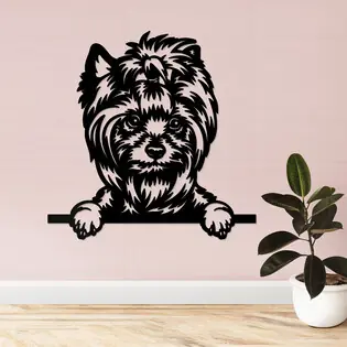 Kivágott kép - Yorkshire terrier Vásárlói kedvenc