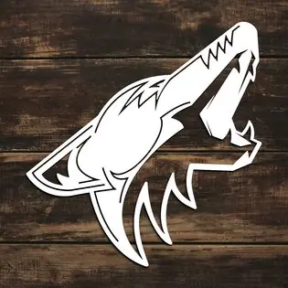 3D fa logó - Arizona Coyotes Legkelendőbb