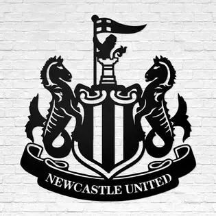 Fa logó - Newcastle United F.C. Árcsökkenés
