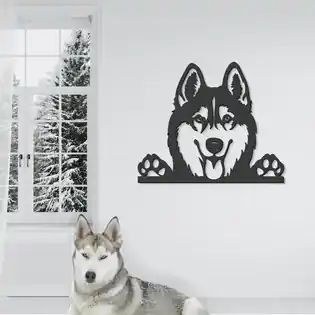 Fali fa kép - Szibériai husky Csak ma