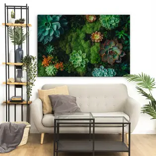 Kép pozsgás növényekkel és mohával - Flora Moss Ajánlat