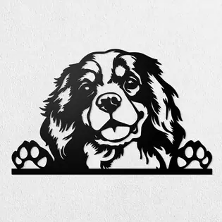Faragott kép - Cavalier King Charles spániel Szuper ajánlat