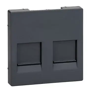 MERTEN FEDLAP, 2XRJ45MODULÁRIS Ajánlat