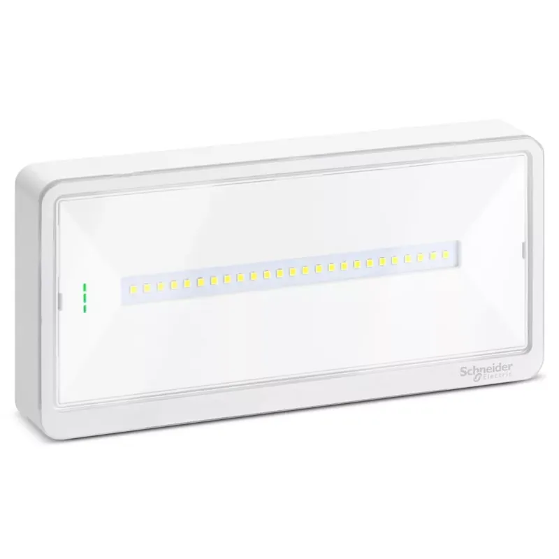 VÉSZVILÁGÍTÓ EX. LIGHT 3h 250lm IP65 Gyors szállítás
